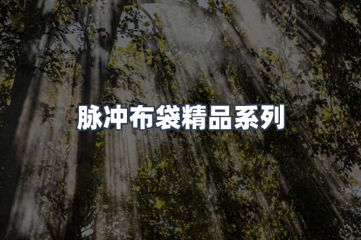 脉冲布袋精品系列