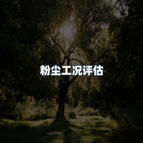 服务优势